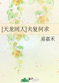 [天龙同人]夫复何求